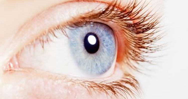 आंखों की रक्षा कैसे करें - How To Protect Eyesight