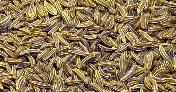 जीरा के फायदे एवं जीरा से होने वाले नुकसान | Benefits and disadvantages of Cumin Seed
