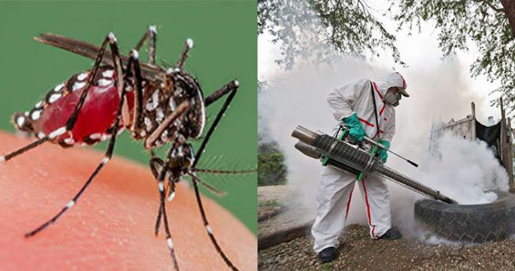 डेंगू से बचाव के उपाए और डेंगू के लक्षण